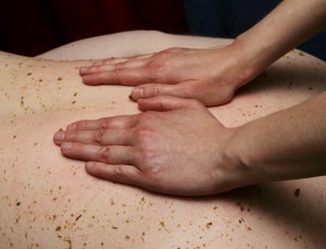 mx chamille HB_LowRez020